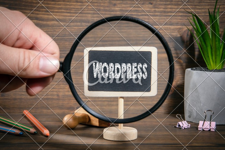 La importancia de un desarrollo web WordPress efectivo