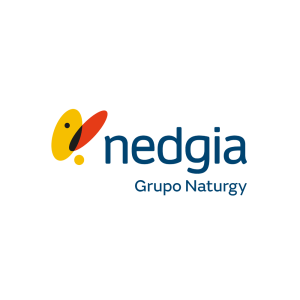 Nedgia Grupo Naturgy